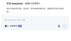DeepSeek 截图
