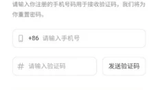 DeepSeek 截图