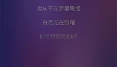 回森 截图