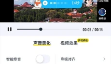 回森 截图