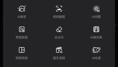 wink 截图
