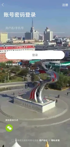 二丫网 截图