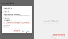 黄鸟抓包 截图