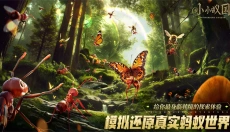 小小蚁国官方版 截图