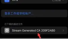 stream 截图