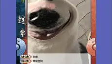 三国杀武将制作器 截图