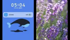 miui主题 截图