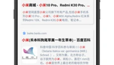 雨见浏览器 截图