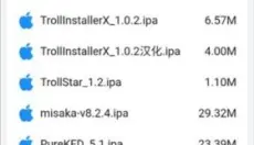 trollstore2 截图