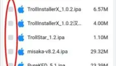 trollstore2 截图