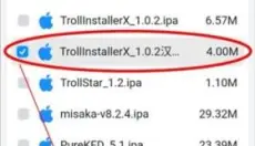 trollstore2 截图