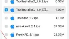 trollstore2 截图