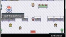 口袋妖怪终极红宝石 截图