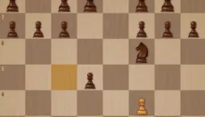 国际象棋国王的冒险 截图