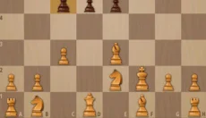 国际象棋国王的冒险 截图