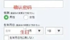 蔚蓝档案游戏 截图
