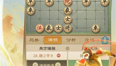 JJ象棋免费版 截图