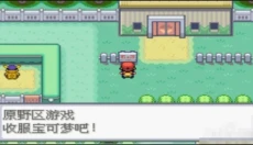去吧皮卡丘热血精灵王 截图