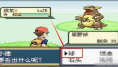 去吧皮卡丘热血精灵王 截图
