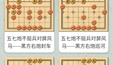 万宁象棋大招版免广告 截图
