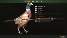 猎人之路 截图