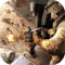 抢滩登陆3D免费版