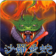 沙罗曼蛇游戏