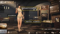 刺激战场手机版 截图