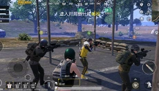 刺激战场手机版 截图