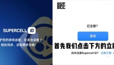 荒野乱斗国际版 截图