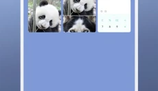 伪装定位 截图