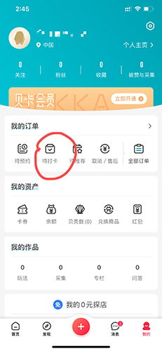 彩贝壳安卓版