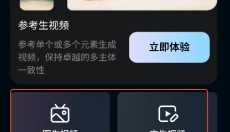 vidu安卓版 截图