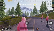 PUBG全球服 截图