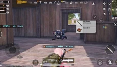 PUBG全球服 截图