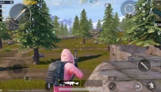 PUBG全球服 截图