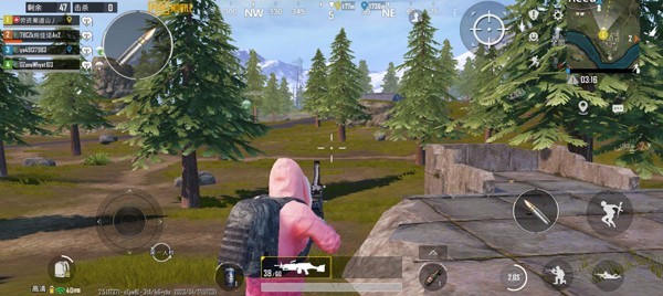 PUBG全球服