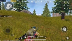 PUBG全球服 截图