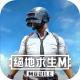PUPG国际服