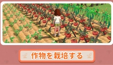 小森生活中文版 截图
