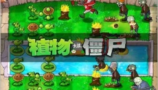 植物大战僵尸年度版安卓版 截图