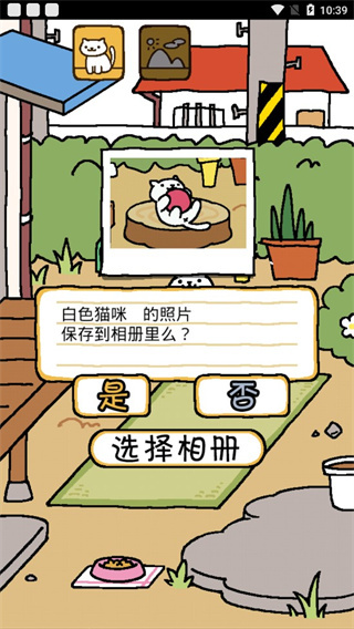 猫咪后院官网汉化版