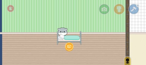 猫咪生活世界创造故事