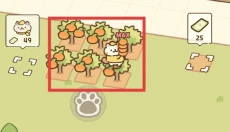 猫市 截图