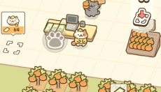 猫市 截图