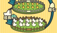 鸡蛋小鸡工厂中文版 截图