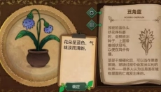 奇异园艺游戏 截图