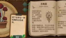 奇异园艺游戏 截图