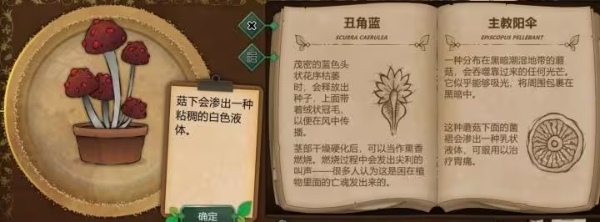 奇异园艺游戏