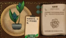奇异园艺游戏 截图